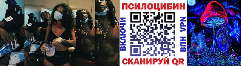 где можно купить   Щигры  Галлюциногенные грибы GOLDEN TEACHER 